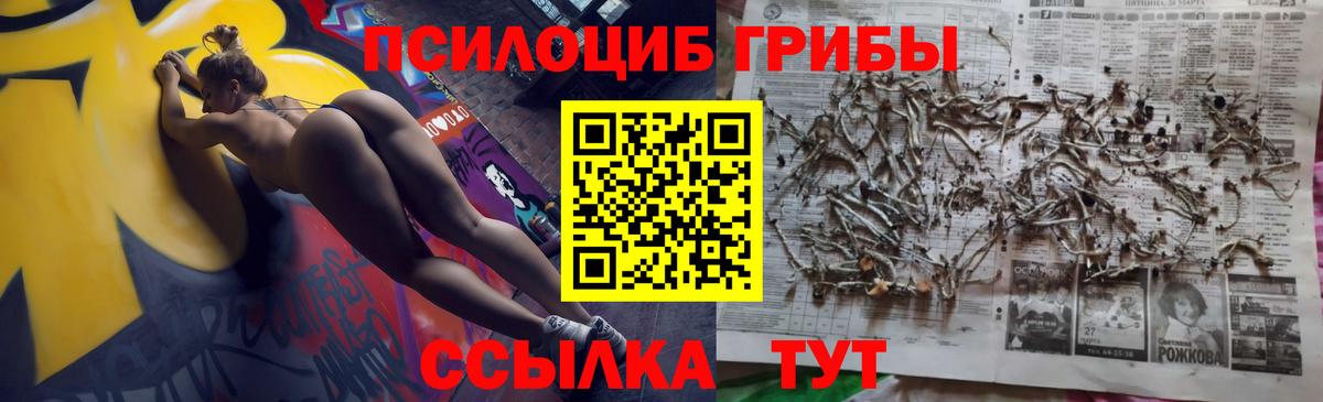 Галлюциногенные грибы Psilocybe Валуйки