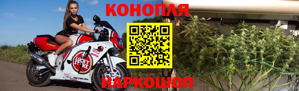 Канабис планчик  Вход с VPN  Канабис ГИДРОПОН  Канабис MAZAR  Валуйки  Марихуана конопля 